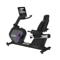 Xe đạp tập nằm Recumbent R-100