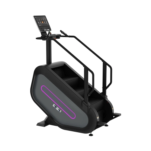 Máy leo cầu thang Stair Climber S-100