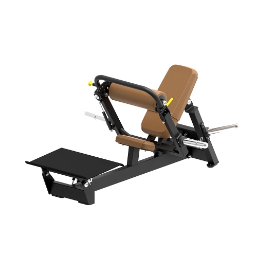 Ghế tập lưng dưới 45 độ FW-08